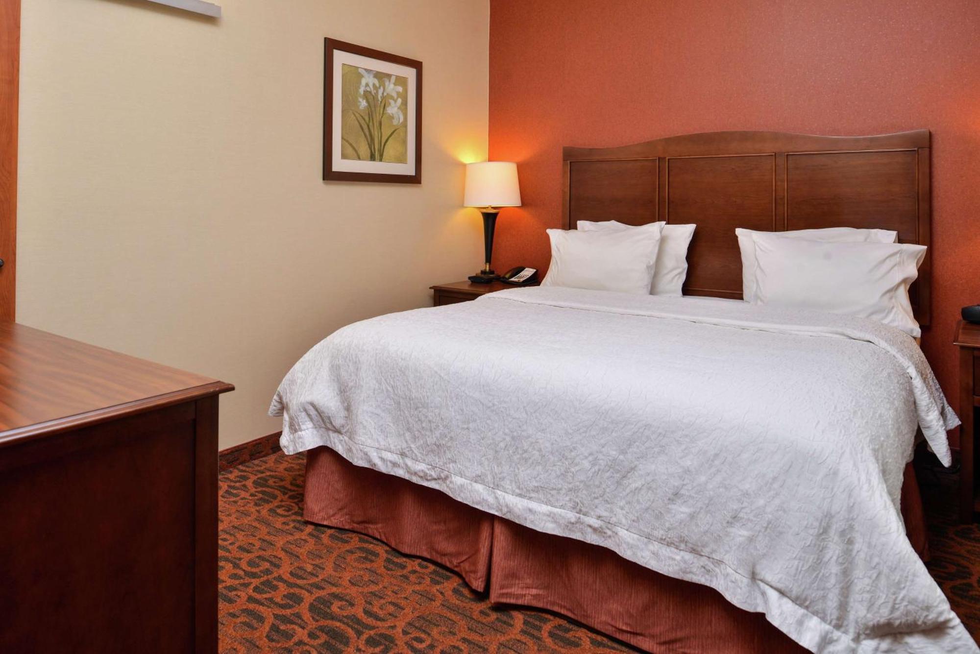 Hampton Inn Idaho Falls / Airport Экстерьер фото